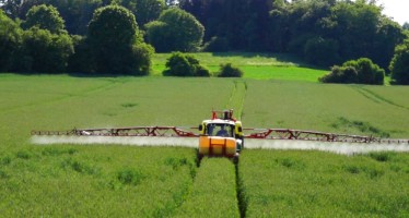 Agrofarmaci, cambiano le regole sul Registro dei trattamenti fitosanitari