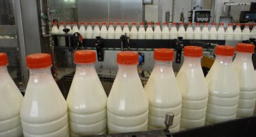 Il sapore del latte nasce in stalla: come lasciarlo intatto
