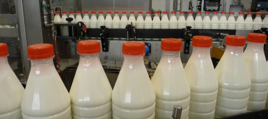 Il sapore del latte nasce in stalla: come lasciarlo intatto