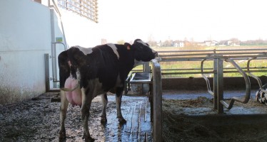 Premi Pac: novità importanti per il settore latte