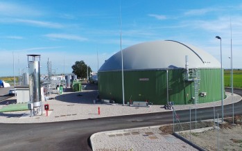 Biogas: dal trinciato di mais e dal contoterzista dipende gran parte del successo economico