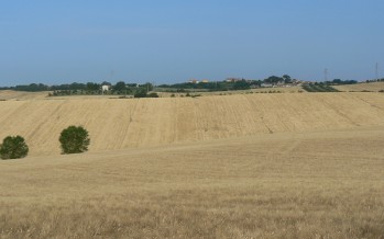 PSR, Basilicata regione più virtuosa del Sud Italia nel sostenere l’agricoltura conservativa