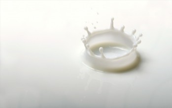 È nata AOP Latte Italia, che concentra il 10% di tutto il latte italiano
