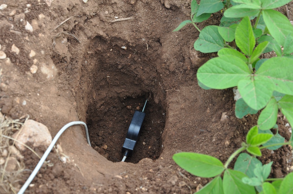 Una sonda posta nel terreno per monitorare l’umidità dell’acqua e suggerire il momento ideale per irrigare.