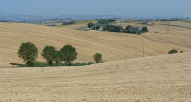 Norme incerte e inefficienza informatica di Agea: tre esempi che penalizzano gli agricoltori