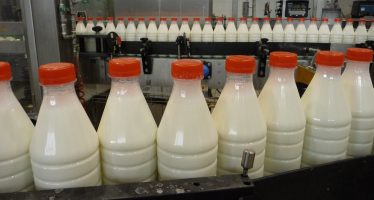 Bruxelles stanzia 150 milioni di euro per produrre meno latte. Ma è la soluzione giusta?
