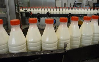 Il prezzo del latte finalmente aumenta. Ma non abbassiamo la guardia sull’efficienza della stalla