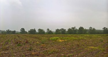 Semina su sodo del mais in condizioni limite con Kverneland Optima HD e-drive