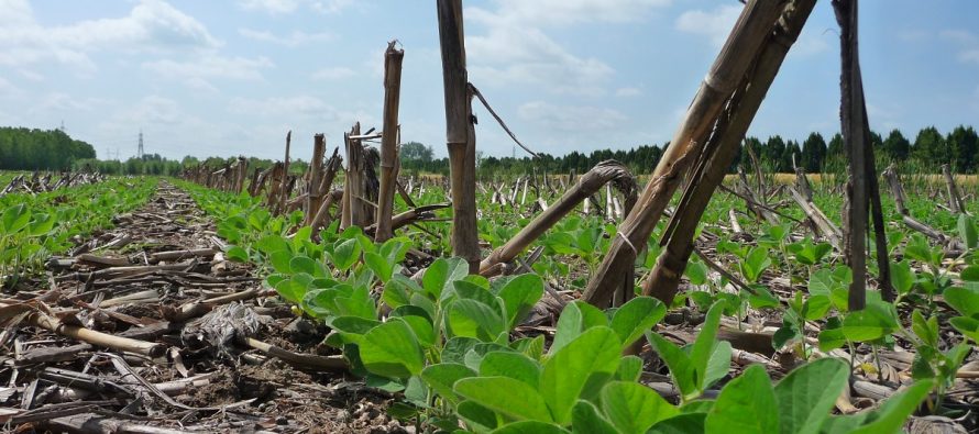 Far vivere il suolo per migliorare l’agricoltura: le conclusioni del progetto ”Help Soil”