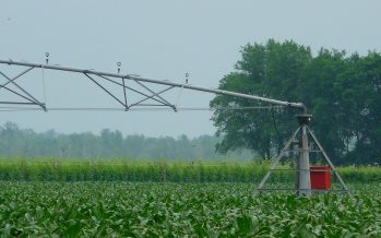 Irrigazione sostenibile: quanto costano le ali articolate a pivot o ad avanzamento frontale