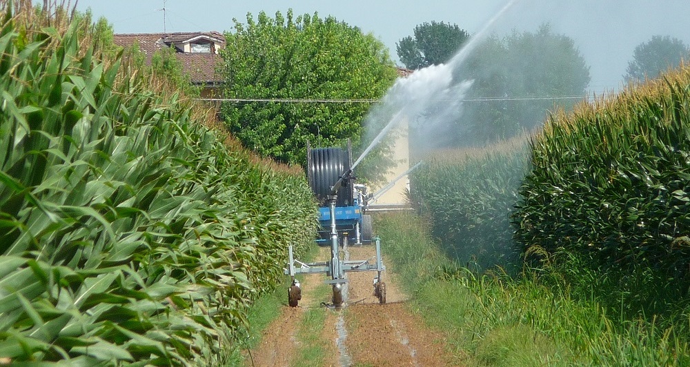 irrigazione-mais-sistemi-confronto