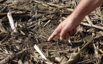 Petrini denuncia il ”veleno nascosto nella terra”, ma gli agricoltori hanno già voltato pagina
