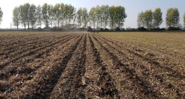 Costi e ricavi dell’agricoltura di precisione applicata al mais da granella 2019