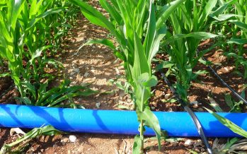 Lombardia, nuova misura Psr finanzia sistemi di irrigazione