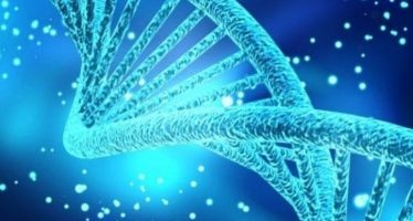 La nuova forbice genetica che supera gli Ogm per come li conosciamo