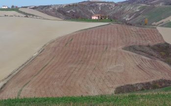 Toscana “glifosate free”: come faranno gli agricoltori che seminano su sodo?