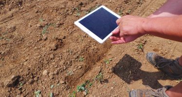 Cercasi esperti in agricoltura digitale: le Regioni imparino dall’Emilia-Romagna