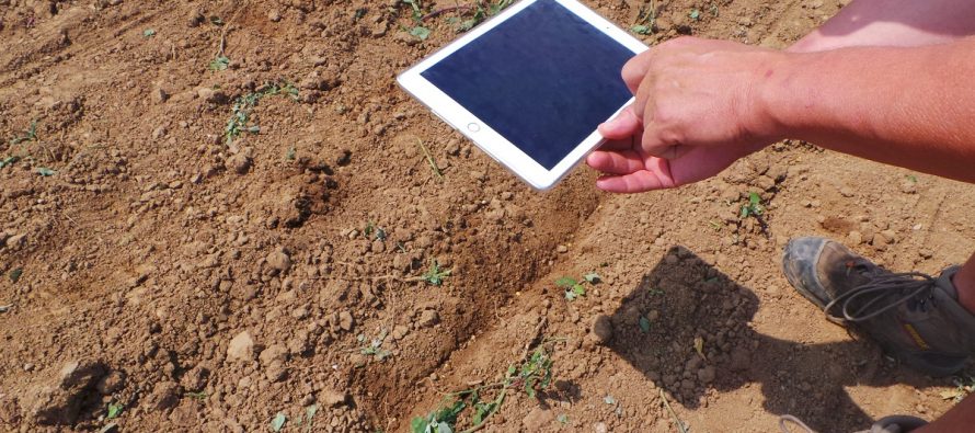Cercasi esperti in agricoltura digitale: le Regioni imparino dall’Emilia-Romagna