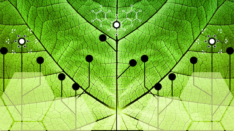 Biomimicry - Nature and Technology - Hybrid Nature - Abstract Illustration