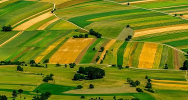 L’agricoltura nel Pnrr: poche idee e molto confuse