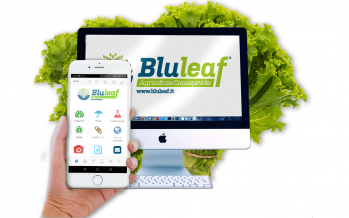 Bluleaf, il supporto intelligente per gestire l’irrigazione