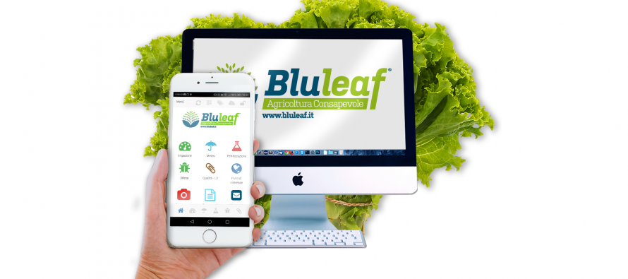 Bluleaf, il supporto intelligente per gestire l’irrigazione