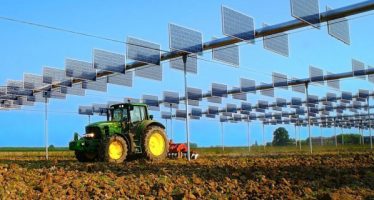Agrivoltaico, il connubio vincente tra buon cibo ed energia pulita