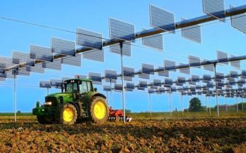 Fotovoltaico, il governo blocca lo shopping di terreni agricoli
