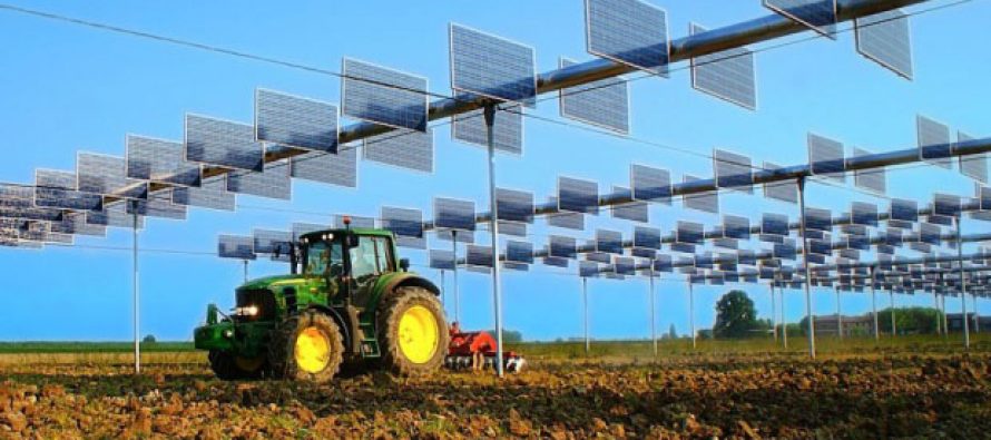 Fotovoltaico, il governo blocca lo shopping di terreni agricoli